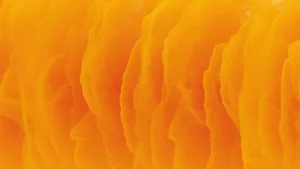 Introduzione al significato dei colori arancione