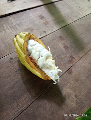 Alla scoperta del cacao in Costa RicaFrutto del cacao