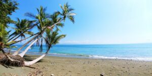 Costa Rica pura vida spiaggia con palme