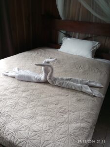 Relax benessere ai piedi del vulcano Arenal Decorazione con gli asciugamani sul letto a forma di cigni abbracciati