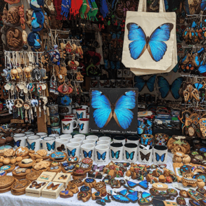 La "Mariposa Azul" del Costa Rica Banco di souvenirs con la stampa della farfalla blu