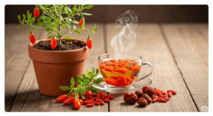 I segreti delle erbe La fitoterapia cinese Pianta, bacche fresche, disidratate e infuso di Goji