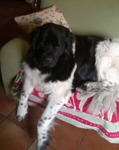 Depressione da una cura sbagliata Immagine Terranova Zoe 