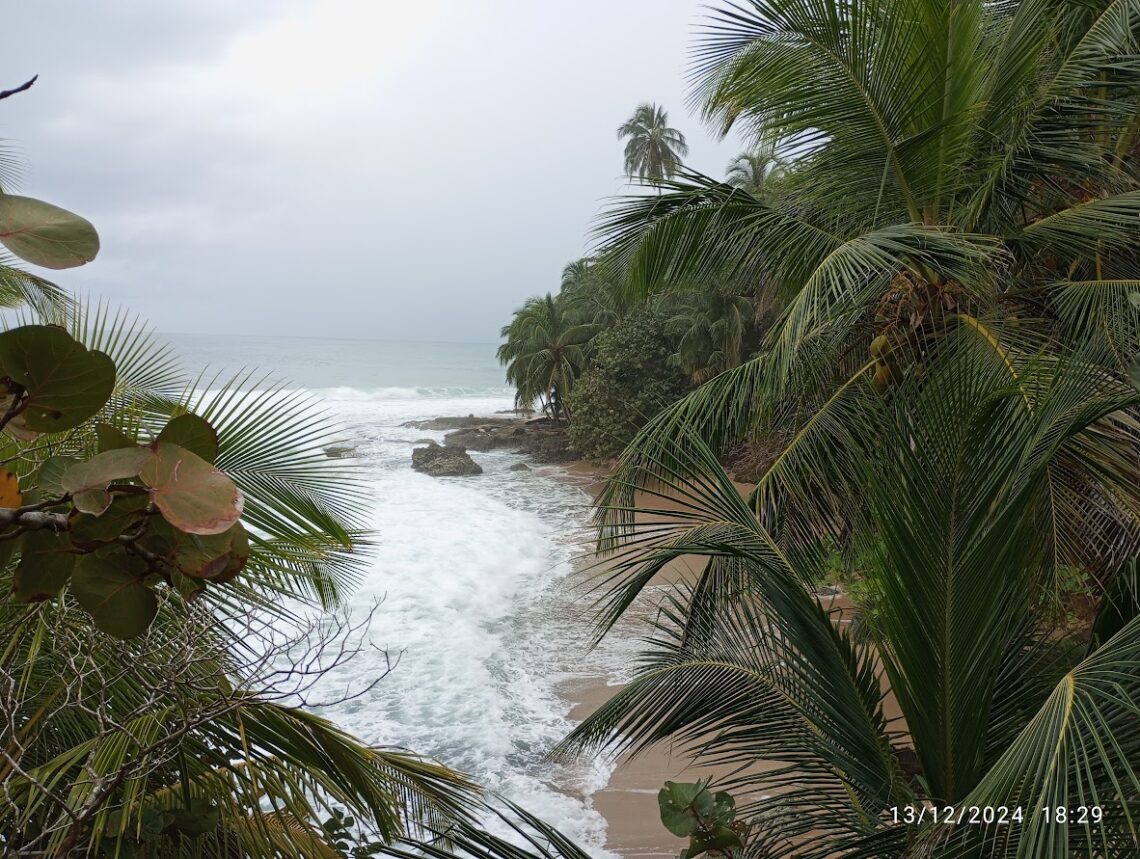 Oceano Atlantico Costa Rica: un abbraccio che trasforma l’anima Oceano e spiaggi di Playa Chiquita, visti dall'ombra delle palme