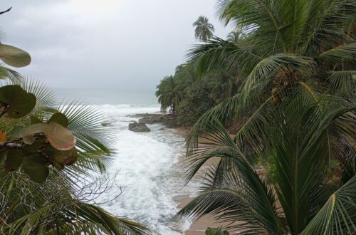 Oceano Atlantico Costa Rica: un abbraccio che trasforma l’anima Oceano e spiaggi di Playa Chiquita, visti dall'ombra delle palme