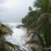 Oceano Atlantico Costa Rica: un abbraccio che trasforma l’anima Oceano e spiaggi di Playa Chiquita, visti dall'ombra delle palme