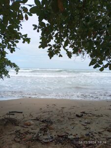 Oceano Atlantico Costa Rica: un abbraccio che trasforma l’anima L'oceano e la spiaggia, visti tra le fronde delle palme