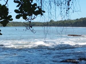 Oceano Atlantico Costa Rica: un abbraccio che trasforma l’anima L'oceano Atlantico visto dalla spiaggia di Playa Chiquita, con sullo sfondo, il lato della baia con le piante sino a riva